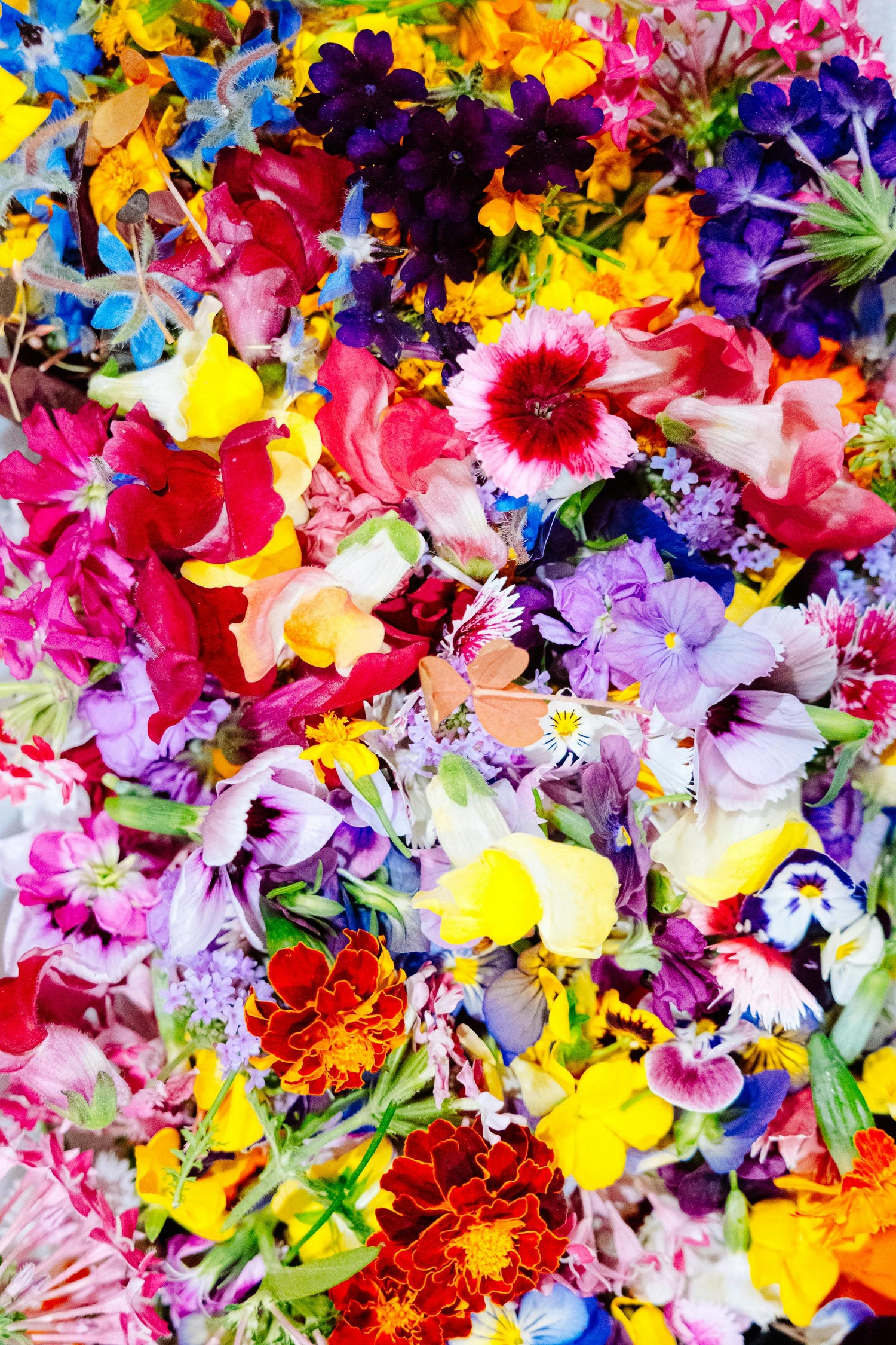FLORALS? For SPRING?